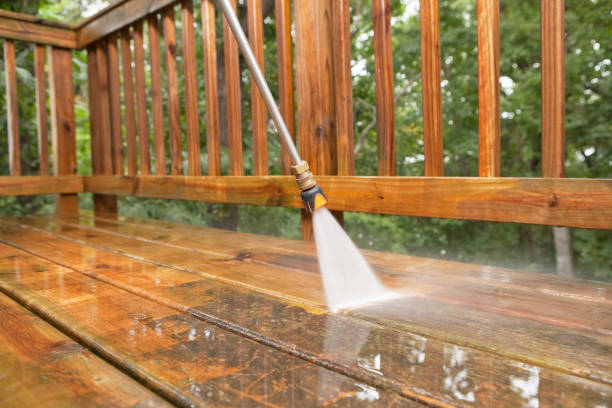 Animal Enclosure Cleaning in Worthington, OH
